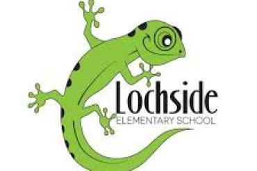 lizard