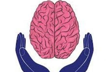 brain in hands