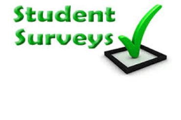 student surveys
