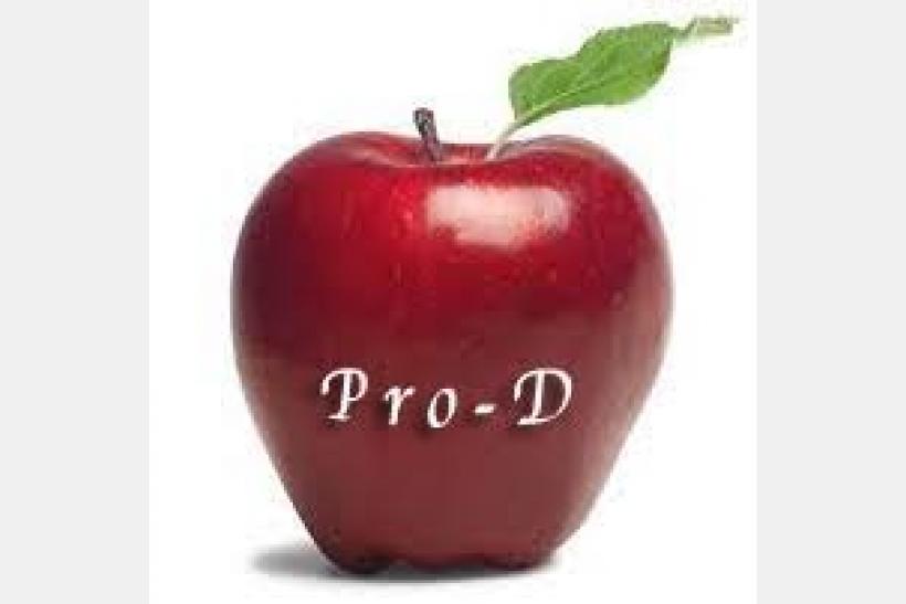 Pro D
